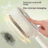 2682a5bc-69a3-4273-87a8-dfa1aacb3643_trans.jpeg Electric Spray Airbag Massage Comb Essential Oil Atomized Hair Brush Anti-static Salon Fluffy Modeling Hair Care Tools